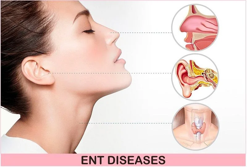 ENT Department